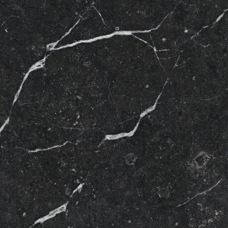 Geglazuurd vloertegels 60x120 zwart met gouden aders, glanzend, gerectificeerd A4H109 Pierre Black #15