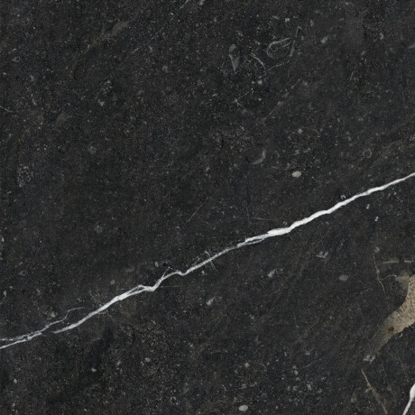 Geglazuurd vloertegels 60x120 zwart met gouden aders, glanzend, gerectificeerd A4H109 Pierre Black #38