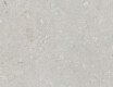 Vloertegels 60x120 cm lichtgrijs mat A4H1093 Shellstone Bianco