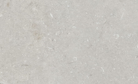 Vloertegels 60x120 cm lichtgrijs mat A4H1093 Shellstone Bianco