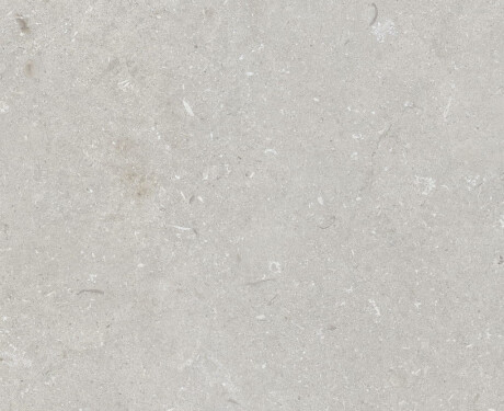 Vloertegels 60x120 cm lichtgrijs mat A4H1093 Shellstone Bianco