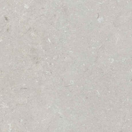 Vloertegels 60x120 cm lichtgrijs mat A4H1093 Shellstone Bianco #1