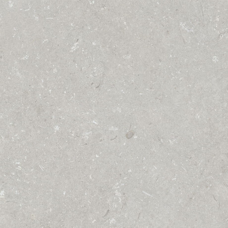 Vloertegels 60x120 cm lichtgrijs mat A4H1093 Shellstone Bianco #2