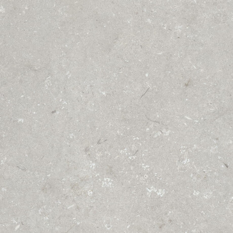 Vloertegels 60x120 cm lichtgrijs mat A4H1093 Shellstone Bianco #3