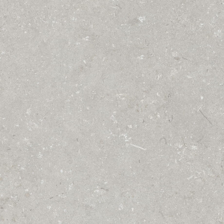Vloertegels 60x120 cm lichtgrijs mat A4H1093 Shellstone Bianco #4