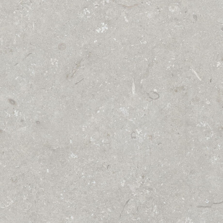 Vloertegels 60x120 cm lichtgrijs mat A4H1093 Shellstone Bianco #5