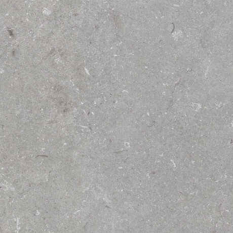 Vloertegels 60x120 cm, matgrijs A4H1096 Shellstone Grigio #4