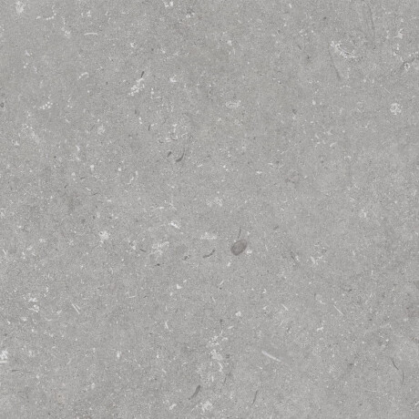 Vloertegels 60x120 cm, matgrijs A4H1096 Shellstone Grigio #5