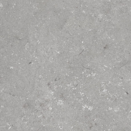 Vloertegels 60x120 cm, matgrijs A4H1096 Shellstone Grigio #6