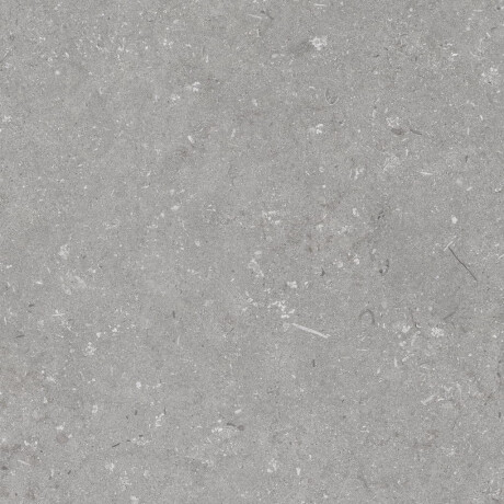 Vloertegels 60x120 cm, matgrijs A4H1096 Shellstone Grigio #7