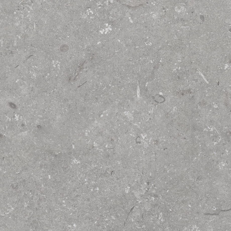Vloertegels 60x120 cm, matgrijs A4H1096 Shellstone Grigio #8
