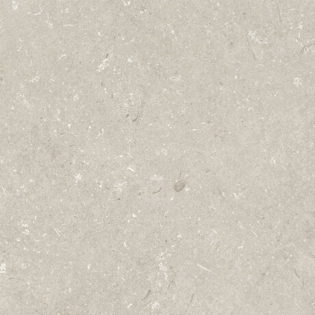 Vloertegels 60x120 cm, beige, mat, A4H1099 Shellstone Beige #4