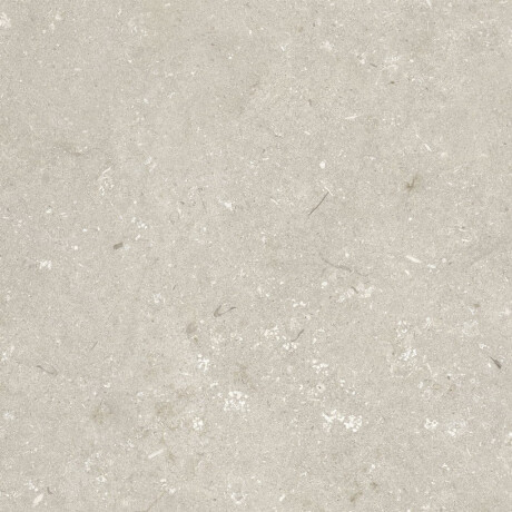 Vloertegels 60x120 cm, beige, mat, A4H1099 Shellstone Beige #5