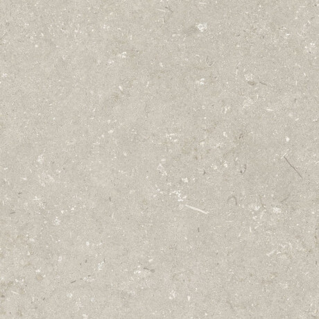 Vloertegels 60x120 cm, beige, mat, A4H1099 Shellstone Beige #6