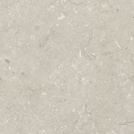 Vloertegels 60x120 cm, beige, mat, A4H1099 Shellstone Beige #7
