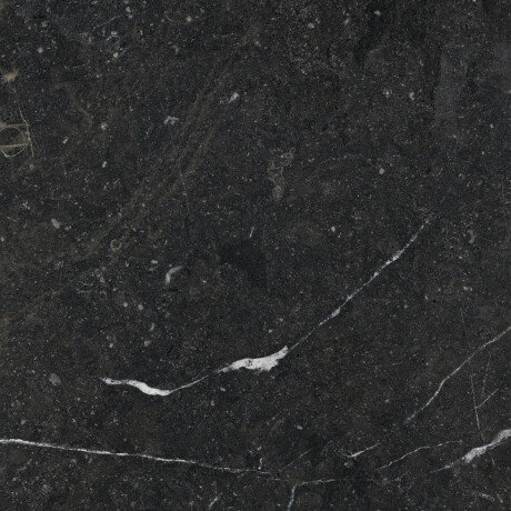 Geglazuurd vloertegels 60x120 met gouden aders, mat, gerectificeerd A4H110 Pierre Black #9