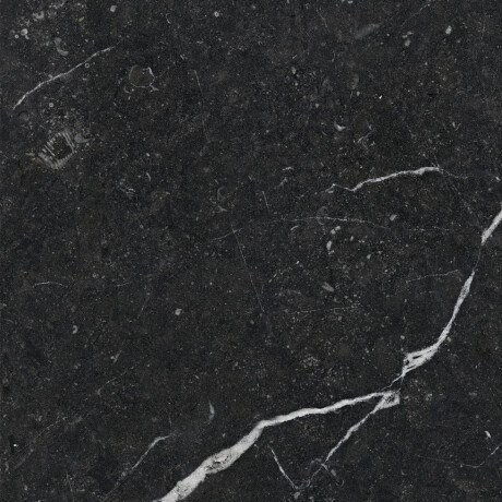 Geglazuurd vloertegels 60x120 met gouden aders, mat, gerectificeerd A4H110 Pierre Black #15