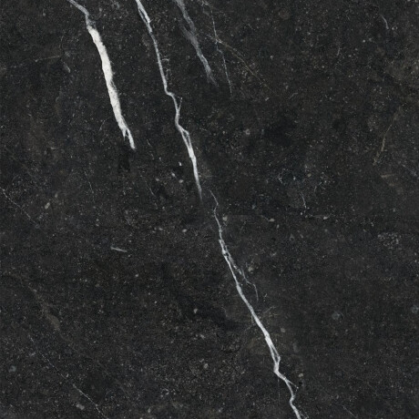 Geglazuurd vloertegels 60x120 met gouden aders, mat, gerectificeerd A4H110 Pierre Black #23