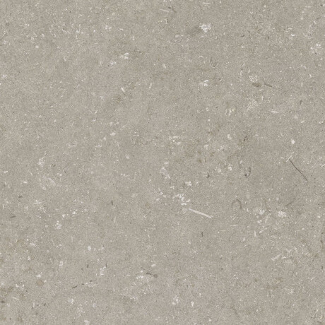 Vloertegels van gres 60x120 cm, taupe mat, A4H1102 Shellstone Taupe #4