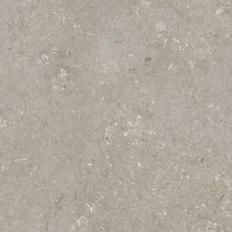 Vloertegels van gres 60x120 cm, taupe mat, A4H1102 Shellstone Taupe #5