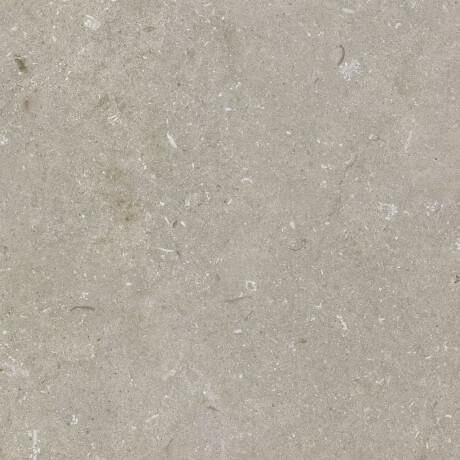 Vloertegels van gres 60x120 cm, taupe mat, A4H1102 Shellstone Taupe #6