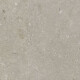 Vloertegels van gres 60x120 cm, taupe mat, A4H1102 Shellstone Taupe #6