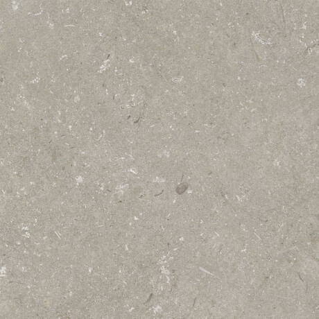 Vloertegels van gres 60x120 cm, taupe mat, A4H1102 Shellstone Taupe #7