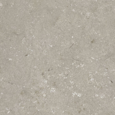 Vloertegels van gres 60x120 cm, taupe mat, A4H1102 Shellstone Taupe #8
