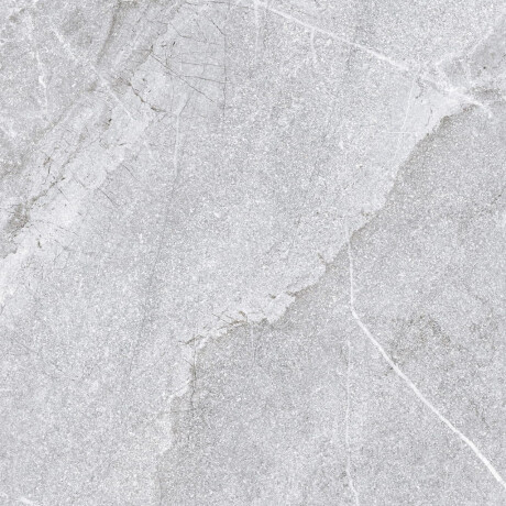 Geglazuurd vloertegels 60x120 cm, grijs steen, mat A4H1131 Agathos Grey #3