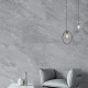 Geglazuurd vloertegels 60x120 cm, grijs steen, mat A4H1131 Agathos Grey #9
