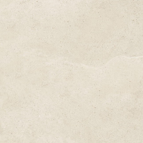 Vloertegels 60,5 x 120,5, grijs-beige taupe, steenlook, mat, A4H485 Fusion Brown #3