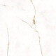 Vloertegels 120x120, marmer met warme aders, mat, A4H496 Dubai Gold #6