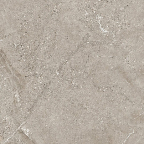 Steenlook-tegels met aders voor de vloer, 100x100, mat, grijs A4H506 Volterra Grey #2