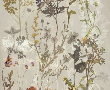 Wandtegels 60x120 cm, grijs met bloemmotieven, mat, A4H919 Glame