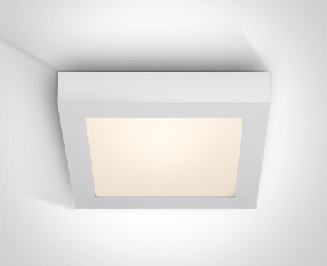 MORFI plafondlamp 22 W 3000 K IP40 wit