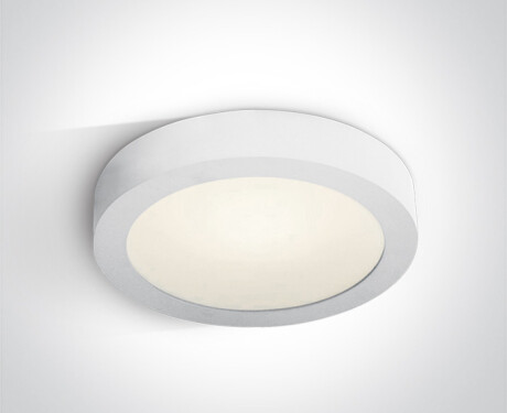 MORFI 2 plafondlamp 30 W 3000 K IP40 wit