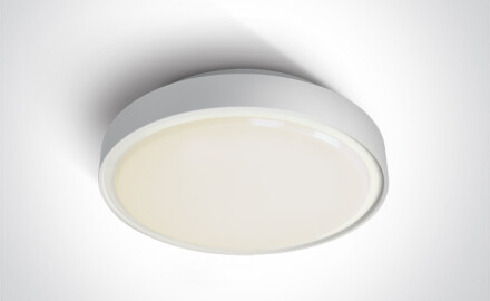 RAFTI AN plafondlamp 24 W 3000 K IP65 antraciet