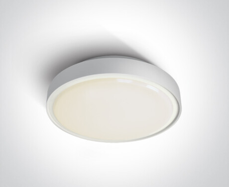 RAFTI AN plafondlamp 24 W 3000 K IP65 antraciet