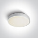 RAFTI AN plafondlamp 24 W 3000 K IP65 antraciet #1