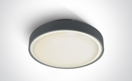 RAFTI AN plafondlamp 24 W 3000 K IP65 wit
