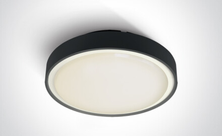 RAFTI EA plafondlamp 2x12W  IP65 antraciet