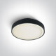RAFTI EA plafondlamp 2x12W  IP65 antraciet #1