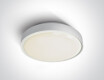 RAFTI EA plafondlamp 2x12W  IP65 zwart