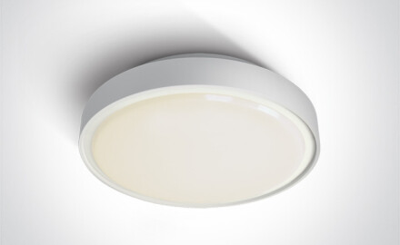 RAFTI EA plafondlamp 2x12W  IP65 zwart