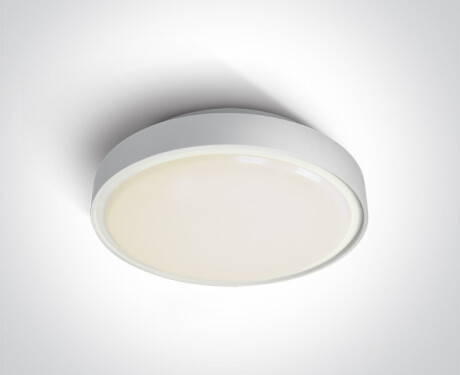 RAFTI EA plafondlamp 2x12W  IP65 zwart