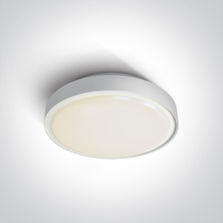 RAFTI EA plafondlamp 2x12W  IP65 zwart #1