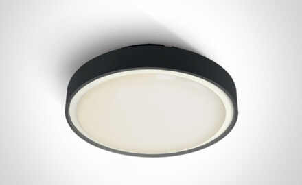 RAFTI E plafondlamp 12 W  IP65 antraciet