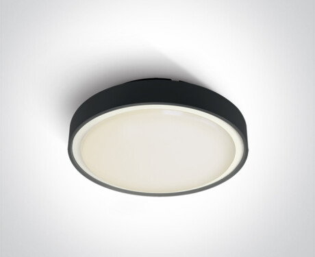 RAFTI E plafondlamp 12 W  IP65 antraciet