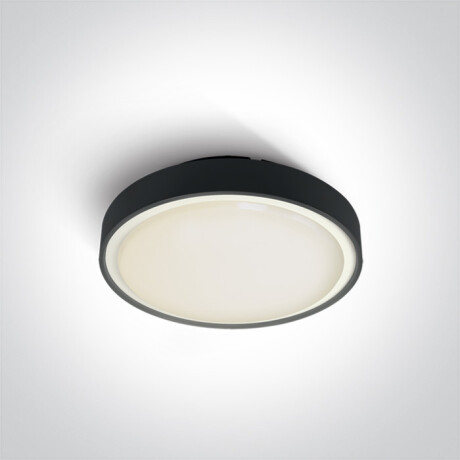 RAFTI E plafondlamp 12 W  IP65 antraciet #1