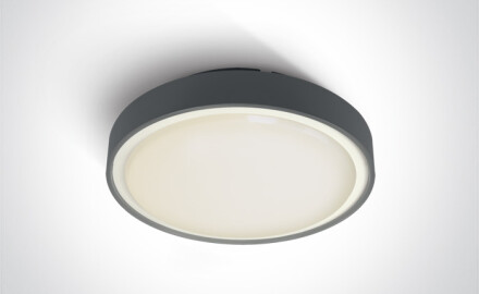 RAFTI EA plafondlamp 2x12W  IP65 wit